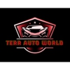 Terr Auto World gallery