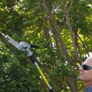 Tree Pro Tree Service - Arborists