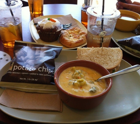 Panera Bread - Cedar Hill, TX