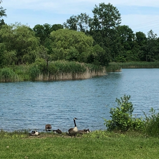 Lillie Park - Ann Arbor, MI