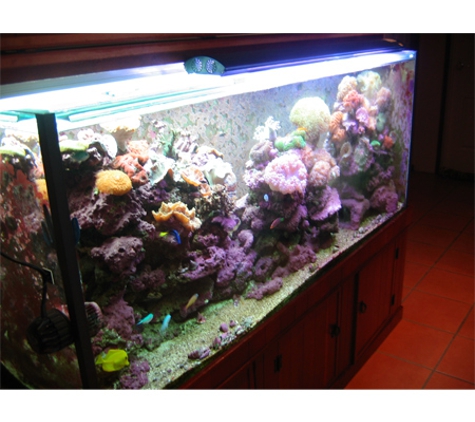 Aquascape Manufacturing - Rockville, QLD