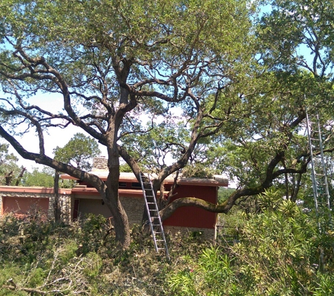 Compton Tree Experts - Canyon Lake, TX