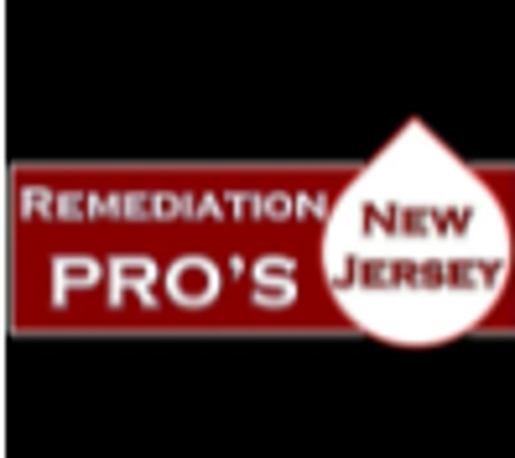 Remediation Pros NJ - Mount Laurel, NJ