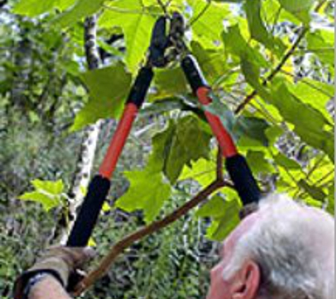 Delchester Tree Service - West Chester, PA