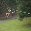 Tree to Tree Adventure Park gallery