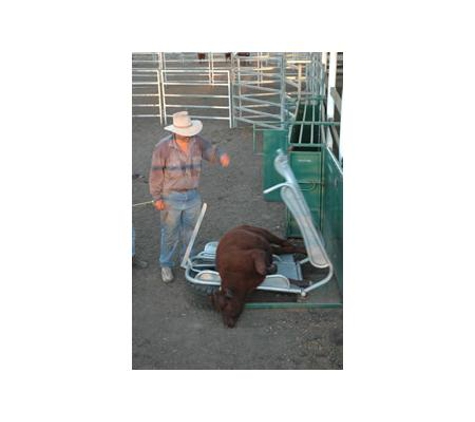 Morrissey & Co Pty Ltd - Jandowae, QLD