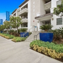 Madison Toluca - Apartments