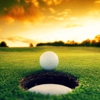 the Golf Stop gallery