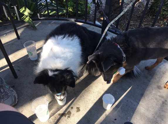 Starbucks Coffee - Santee, CA