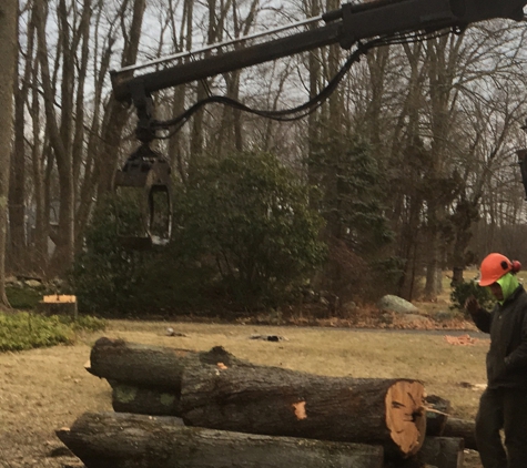 A & A Tree Service - New Milford, CT