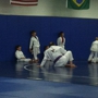 Des Moines Jiu-Jitsu Academy