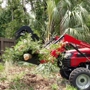 Flagler Tree & Debris Inc.