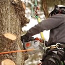 JP Tree Service - Arborists