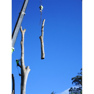 Treebiz Tree Services