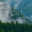 Rain the Growth Agency - Marketing Consultants