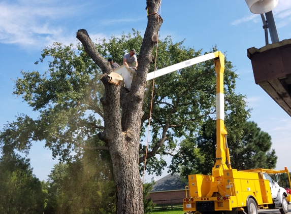 4 B's Lawn Care And Tree Service - Springtown, TX