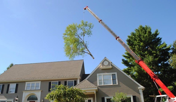 Tree Specialist Tree Service - clio, MI