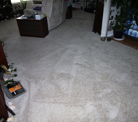 Sunshine Carpet Cleaning - Melbourne, FL. High-Traffic Area between DR & LR - Cleaned!