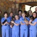 Limestone Veterinary Clinic - Veterinary Clinics & Hospitals