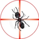 Assassin Pest Control LLC