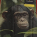 Monkey Business Toy Shop - Shopping Centers & Malls