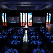 Gallery Image Number 5
