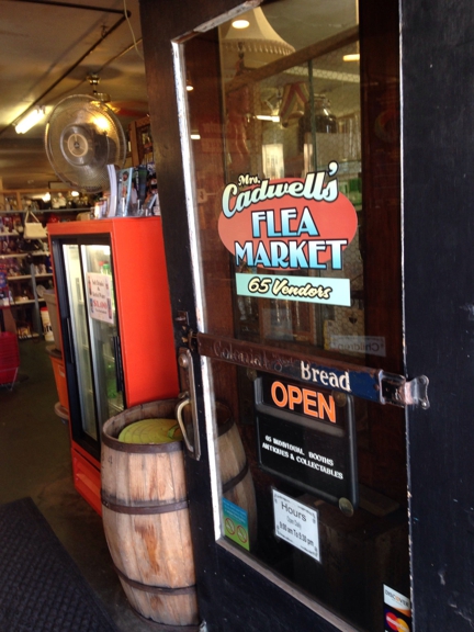 Carousel Gallery #71