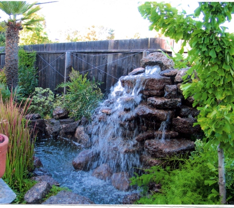 Back to Nature Landscaping - Pleasant Hill, CA