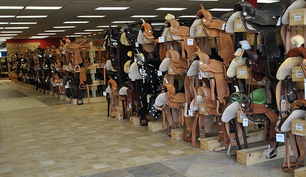 Hilason Tack & Equine Supplies - Stafford, TX