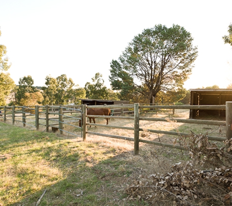 Wagga Boarding Kennels And Cattery - Gelston Park, NSW