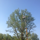 1st Call Tree Service LLC - Tree Service