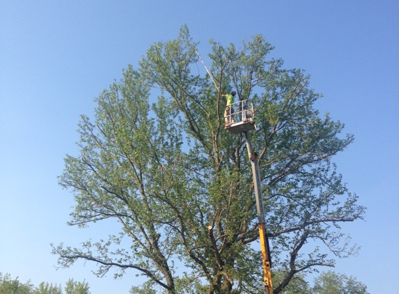 1st Call Tree Service LLC - Wellston, OH