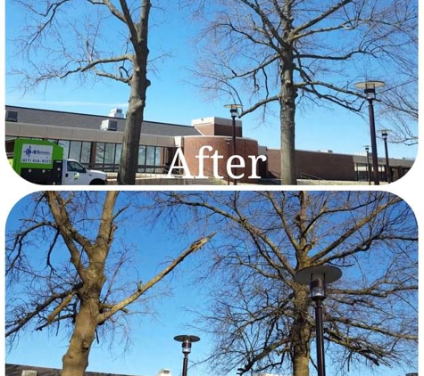 4 Seasons Tree Service - Springfield, MO