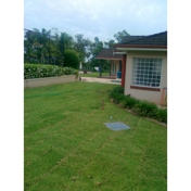 Gallery Image Number 6