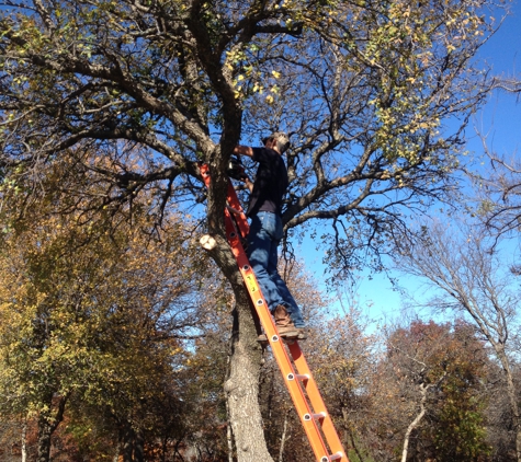 Steve's Tree Service, LLC - Weatherford, TX