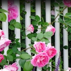 Youngstown Fence Inc