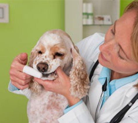 Dadeland Animal Hospital - Miami, FL