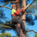 Central Ohio Tree Trimming Service, Inc.