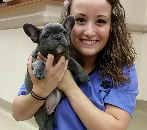Dupont Veterinary Clinic - Fort Wayne, IN