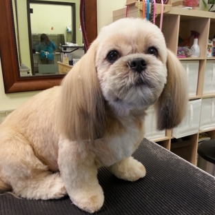 Trina's Precision Pet Styling - Scottsdale, AZ