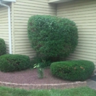 CICCO'S Landscaping & Design