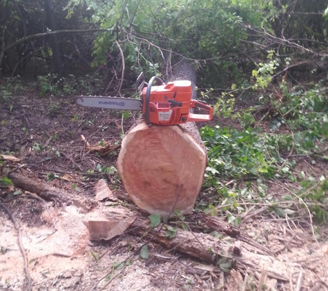 Hard Dollar Logging - Blue Creek, OH