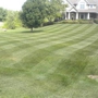 Minnesota Lawn and Landscape