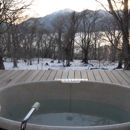 Adonis Spa Service, LLC - Spas & Hot Tubs-Repair & Service