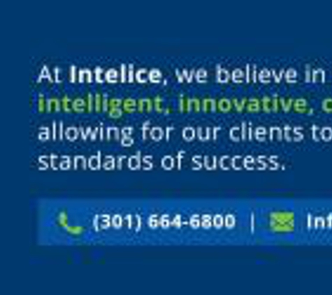 Business IT Solutions & IT Services Provider in Washington, DC Metro Area Intelice Solutions - Washington, DC