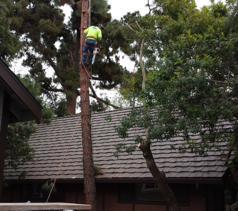 Ghai's Tree Services & Landscaping - Costa Mesa, CA