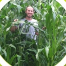 Green Acres Cover Crops - Farming Service