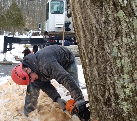 Mike's Professional Tree Service - Coventry, RI