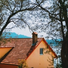 Roofing Repair Contractor