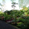 South Kona Nursery gallery